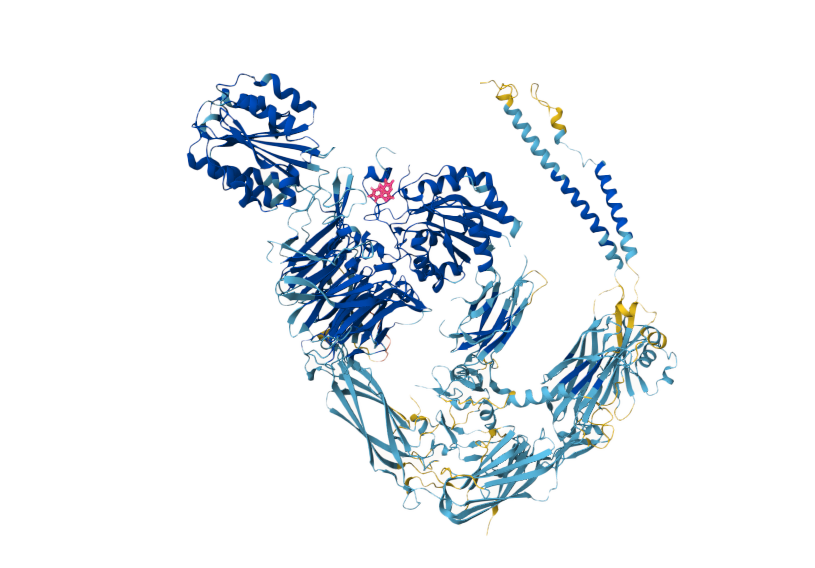 Sample pose/SAR visualization